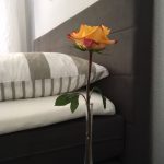 Ein lieber Blumengruß